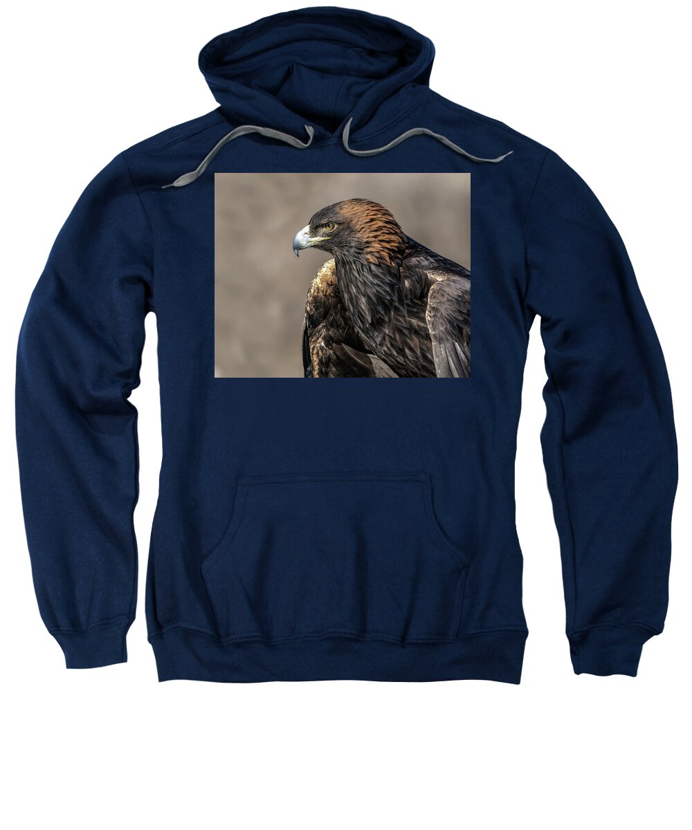 Birds Sweatshirt featuring the photograph Golden Eagle Profile by Dawn Key