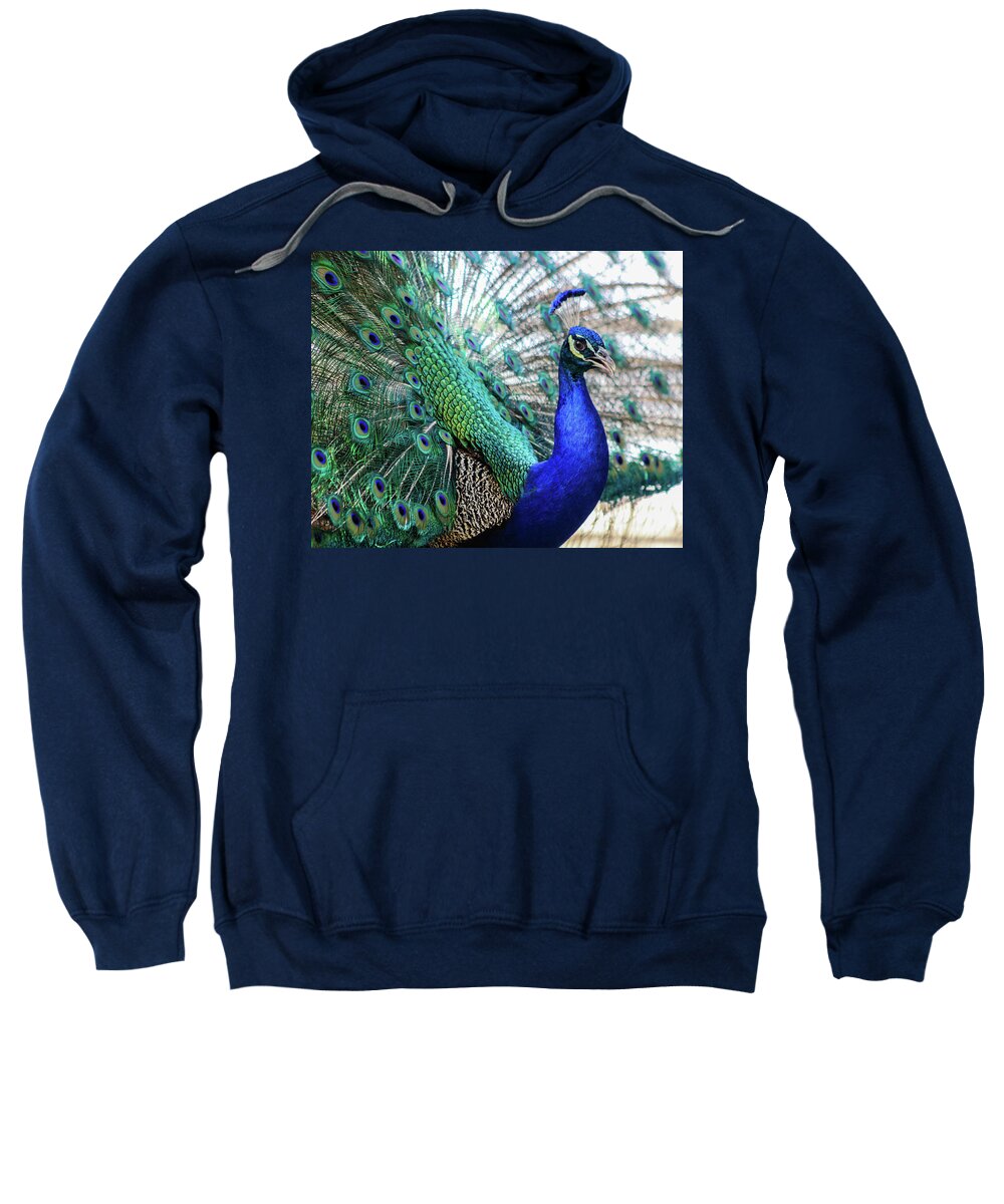 2017 Sweatshirt featuring the photograph Peacock by KC Hulsman