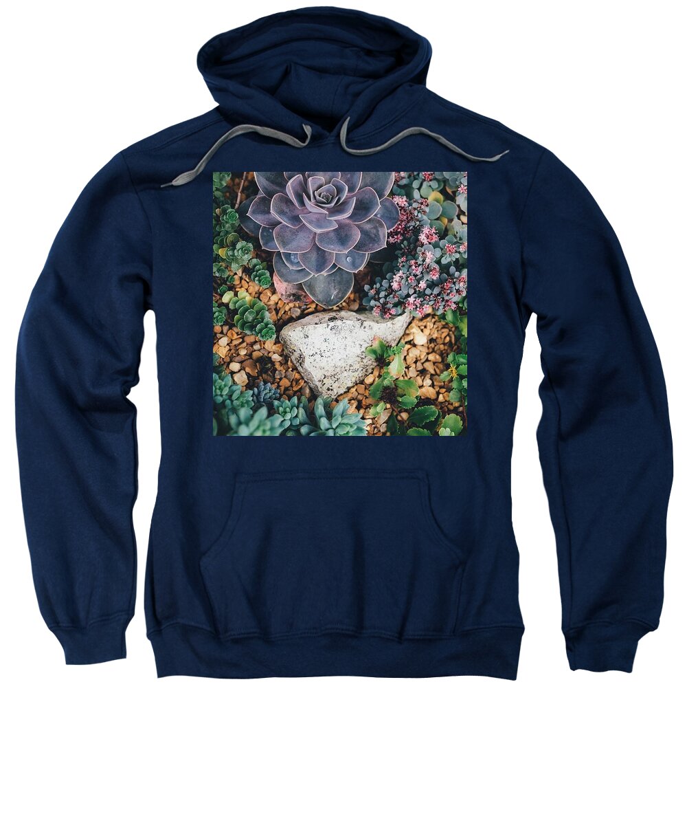 Cute Sweatshirt featuring the photograph Small succulent garden by Top Wallpapers