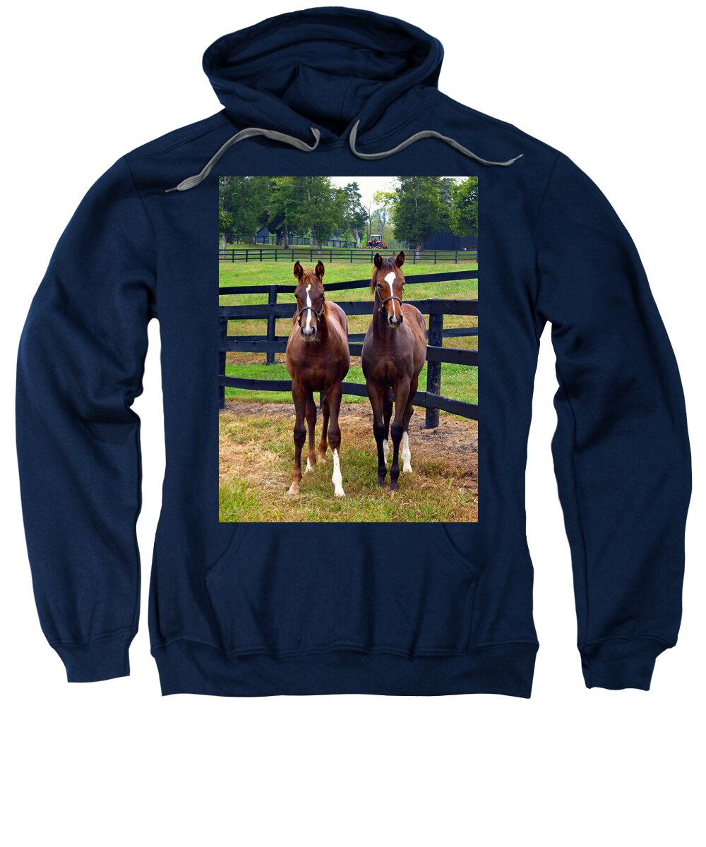 Young Thoroughbreds Sweatshirt featuring the photograph Two Friends by Mike McBrayer
