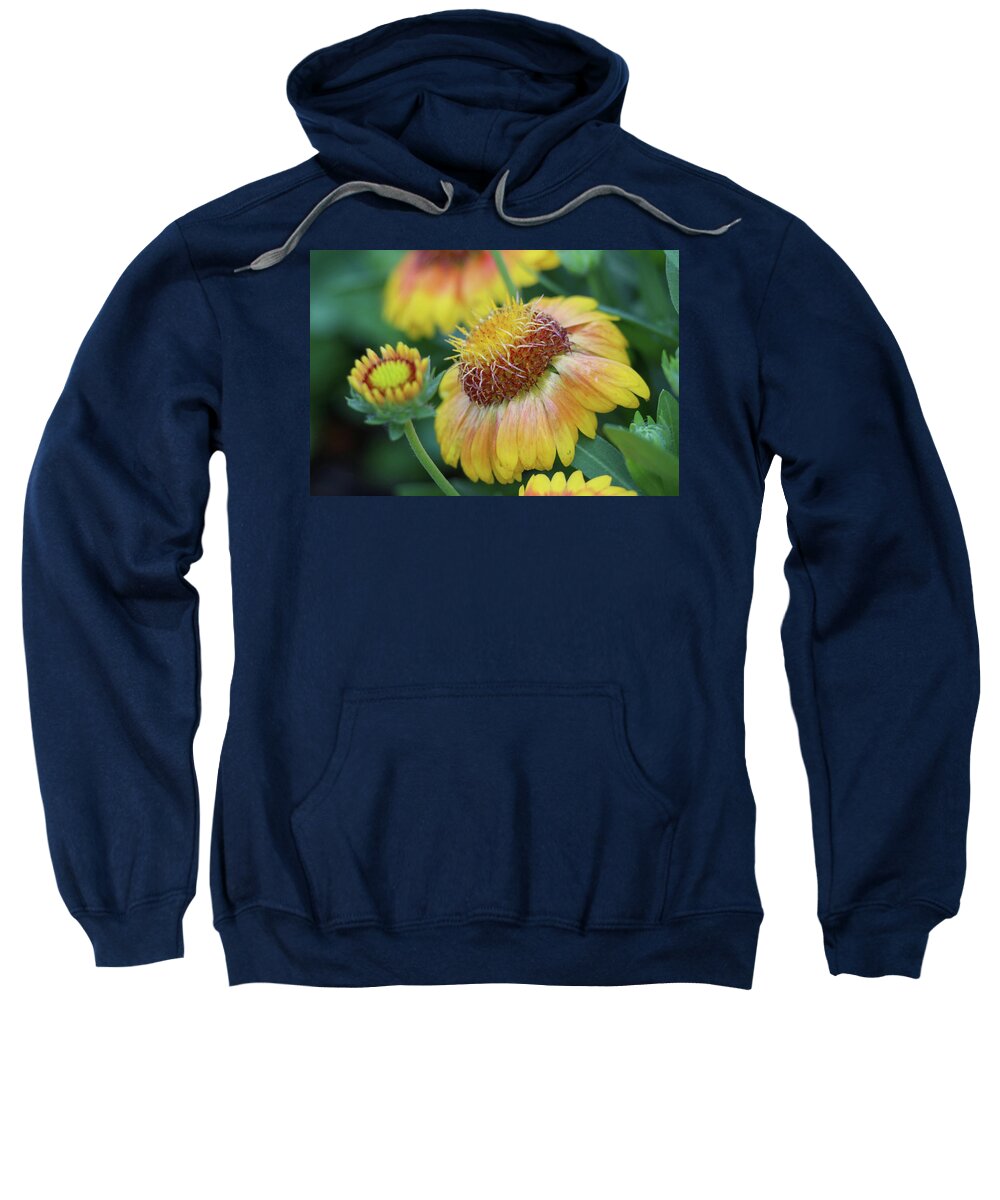 Flower Sweatshirt featuring the photograph Bud to Bloom by Mary Anne Delgado