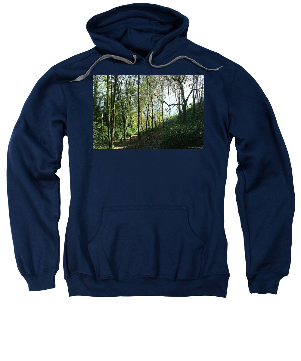 Trees Sweatshirt featuring the photograph Woodland at Wakeham #2 by Alan Ackroyd