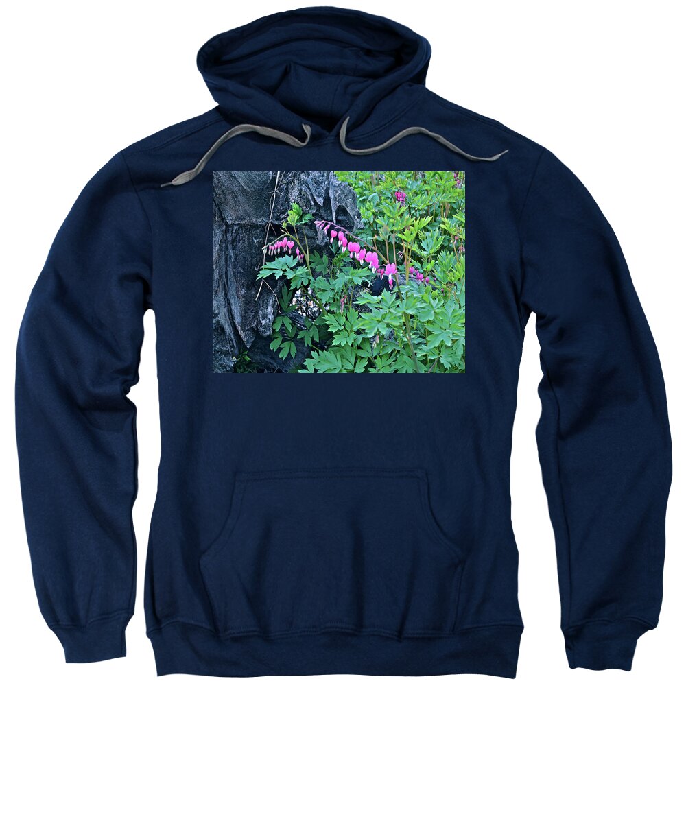 Spring Flowers Sweatshirt featuring the photograph 2021Late April Bleeding Hearts 1 by Janis Senungetuk