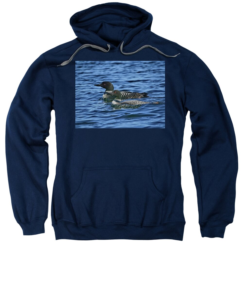 Bird Sweatshirt featuring the photograph A Pair of Loons by Dale Kauzlaric