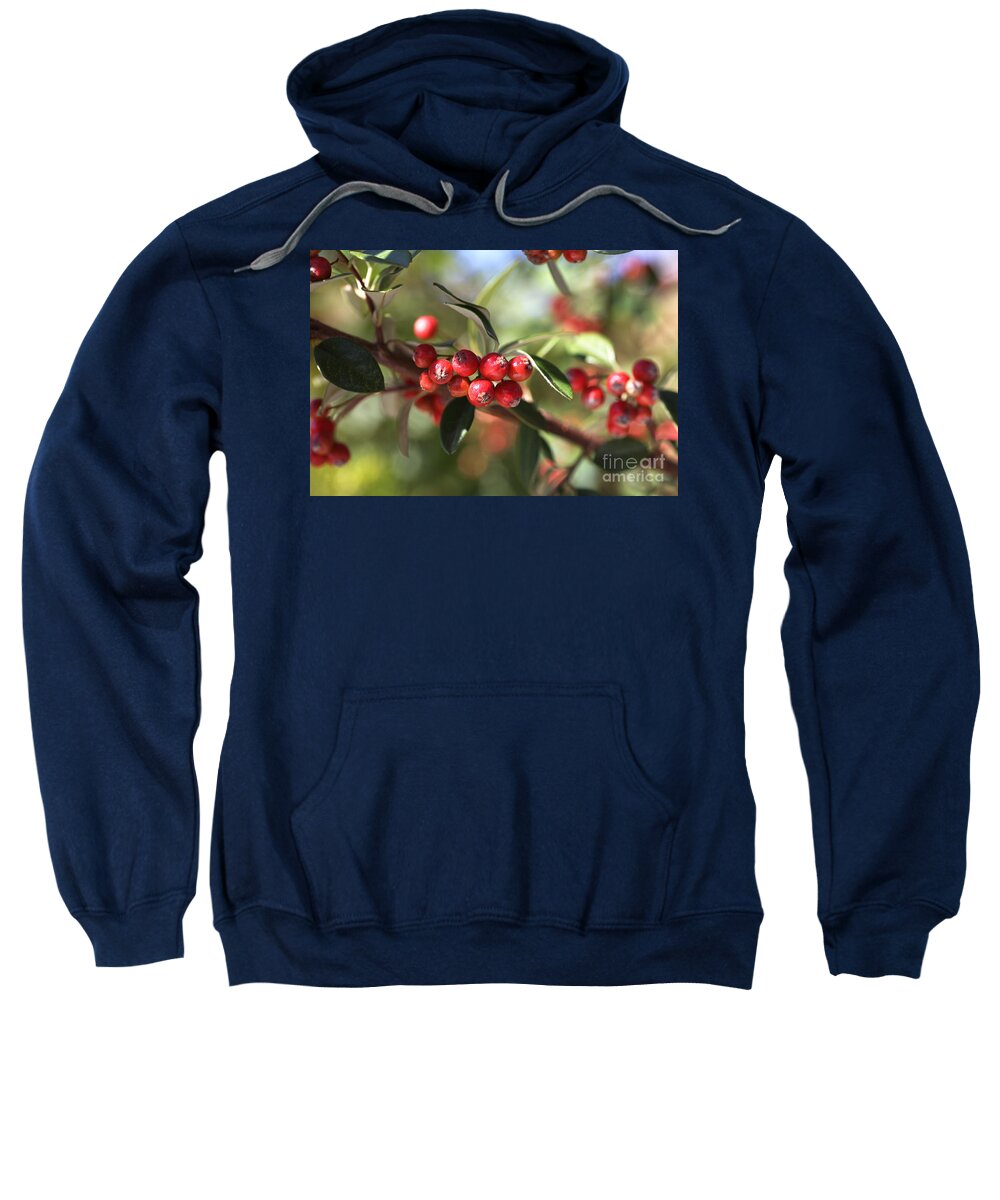  Sweatshirt featuring the photograph Berry Delight by Joy Watson