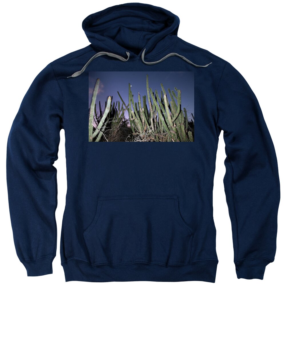 Aruba Sweatshirt featuring the photograph Blood Fruit Cactus at Arikok by Joseph Philipson