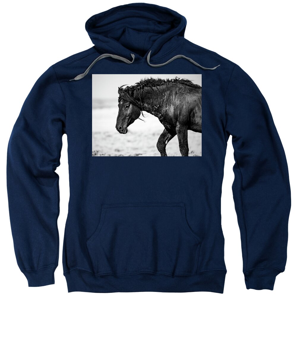 Horse Sweatshirt featuring the photograph Curly Mustang by Jen Britton