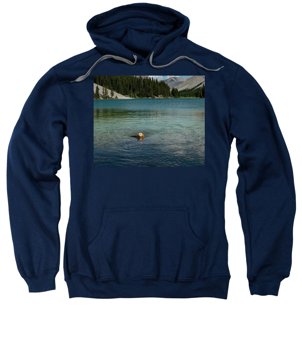 Dog Sweatshirt featuring the photograph Dog in Elbow Lake, Alberta by Karen Rispin