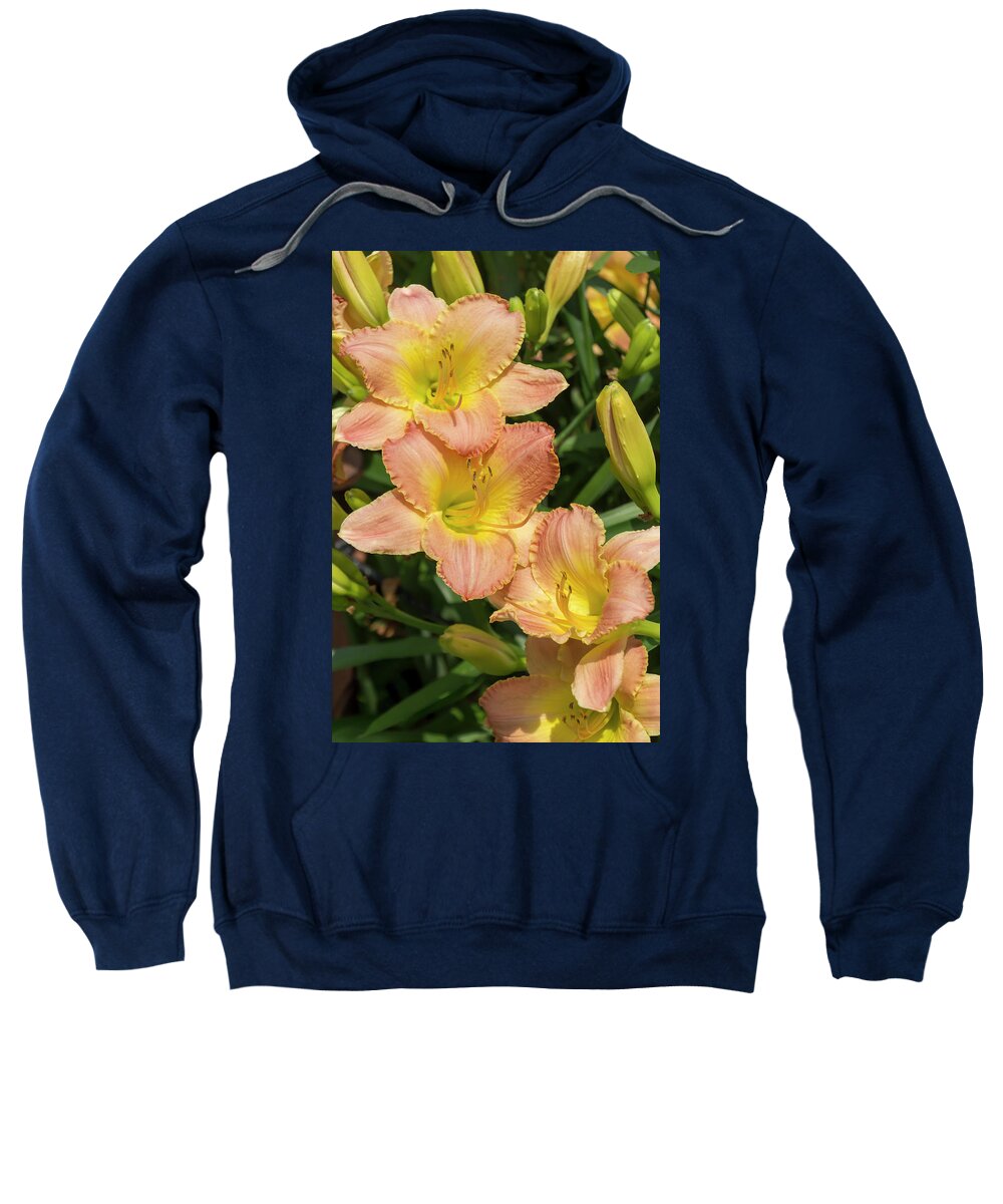 Lily Sweatshirt featuring the photograph Fairy Tale Pink Daylily by Dawn Cavalieri