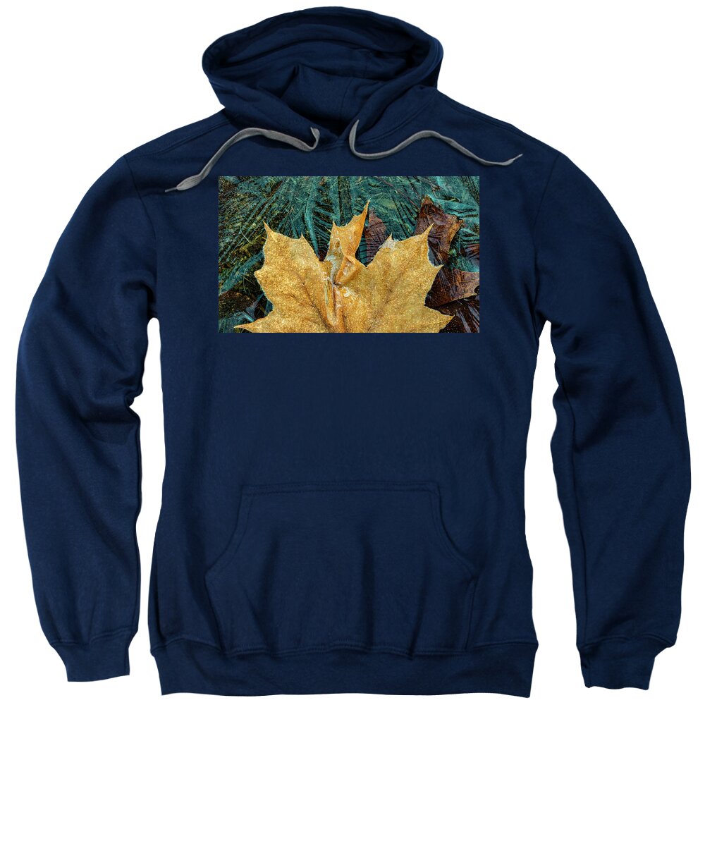 Leaf Sweatshirt featuring the photograph Frosty Leaf On Ice Patterns by Gary Slawsky