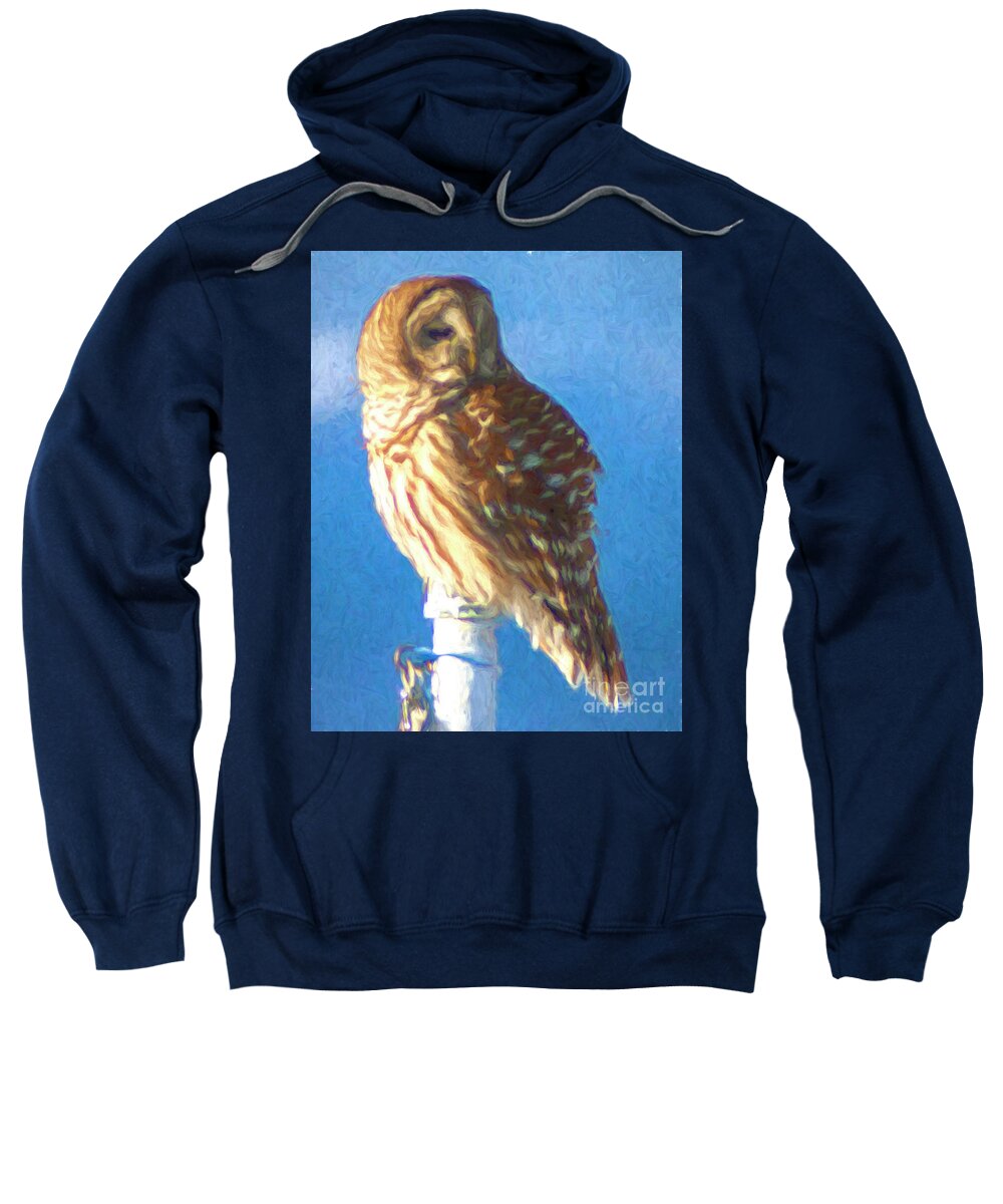 Barred Owl Sweatshirt featuring the photograph Goddess on a Mountaintop by Xine Segalas