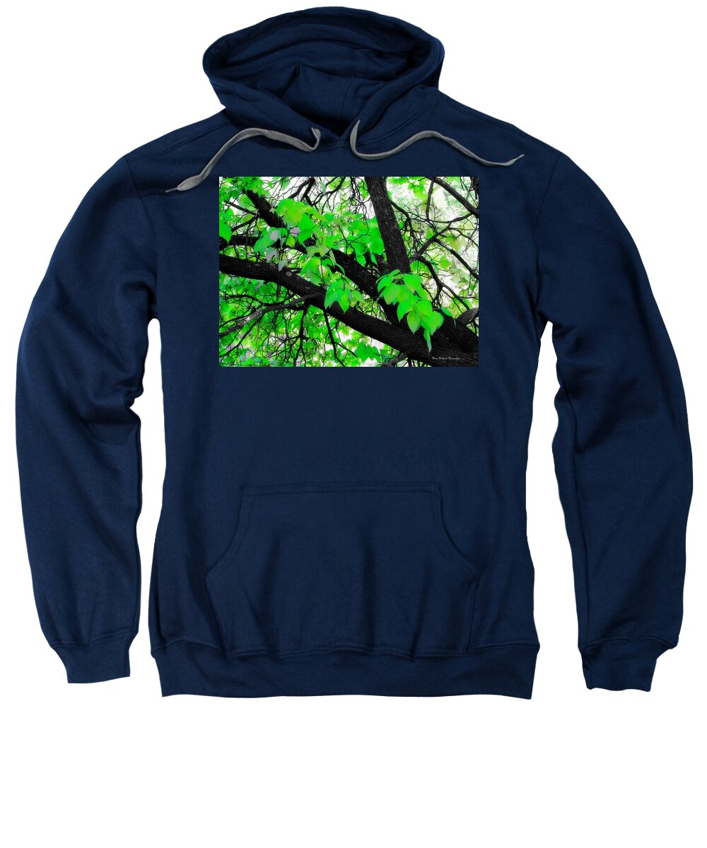 Tree Nature Landscape Sweatshirt featuring the photograph Green and Serene by Mary Walchuck