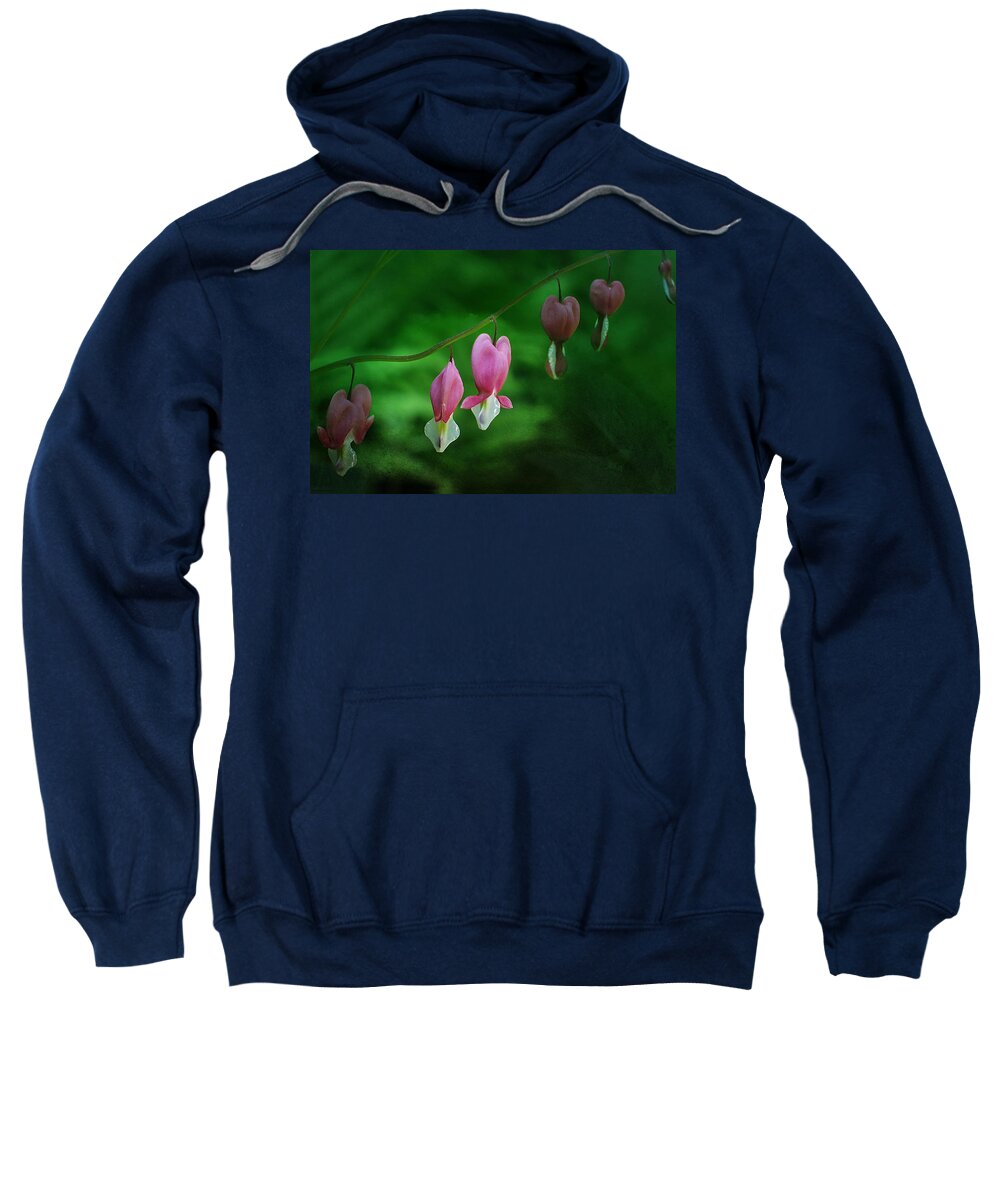 Dicentra Sweatshirt featuring the photograph Hearts of Spring by Moira Law