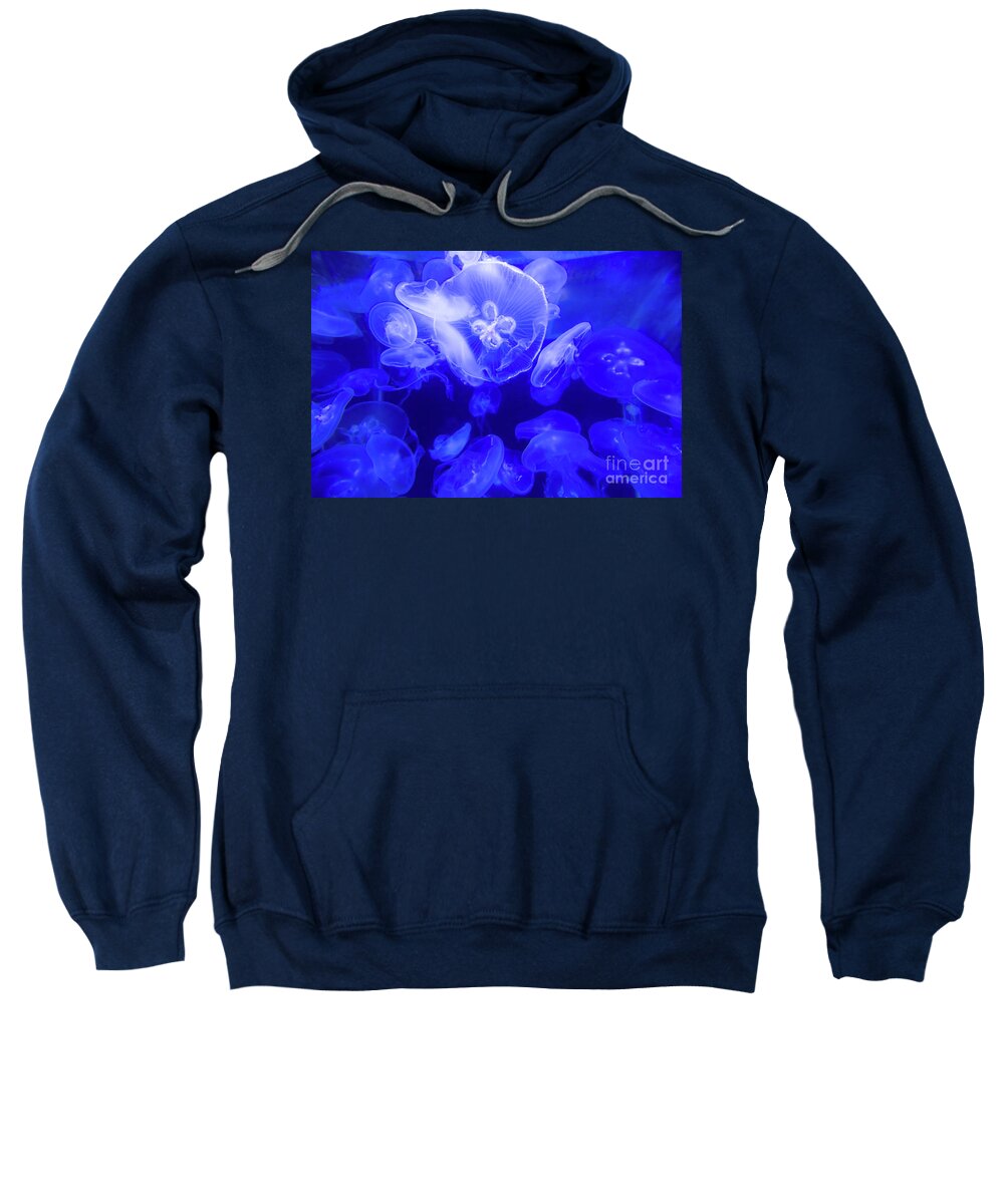 Jelly Sweatshirt featuring the photograph Jellyfish in the Water by Beachtown Views