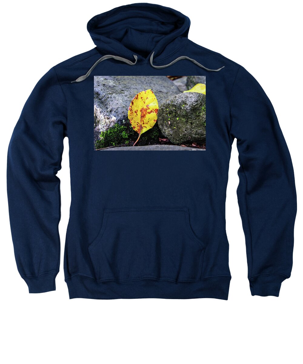 Leaf Sweatshirt featuring the photograph Leaf on Lava Rock by Craig A Walker