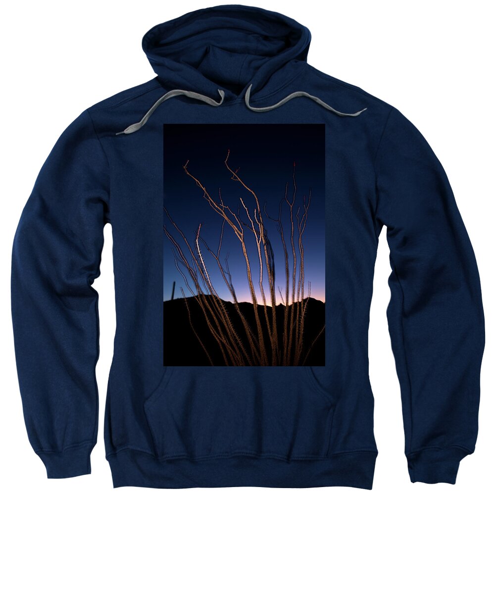 Arizona Sweatshirt featuring the photograph Ocotillo and the Edge of Day by Joseph Philipson