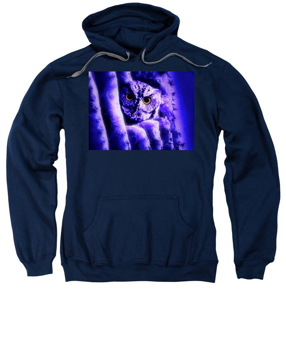Glowing Eyes Sweatshirt featuring the photograph Owl in the Garden of the Ultraviolet by Judy Kennedy