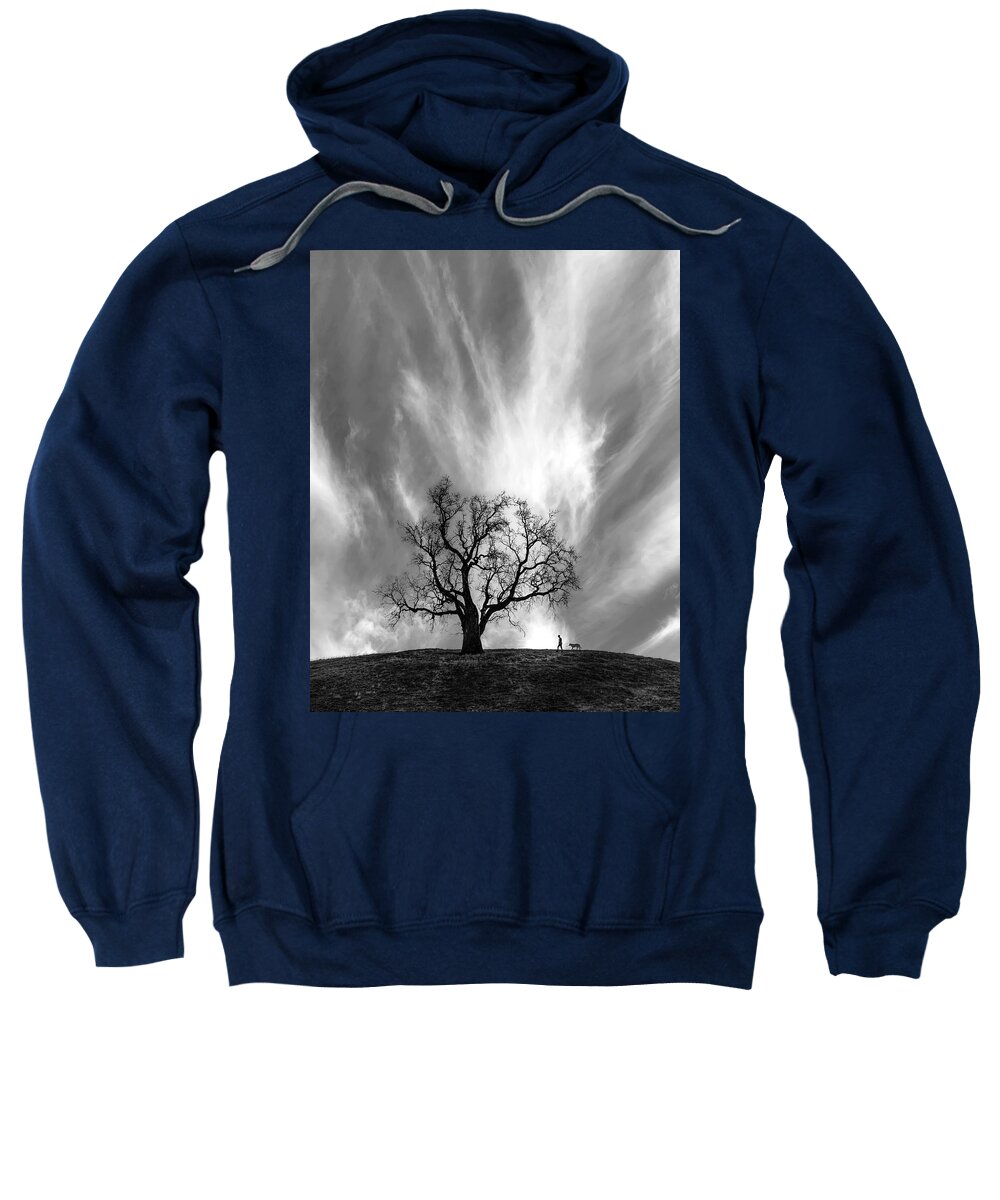 Tree Sweatshirt featuring the photograph Solace by Sofie Conte