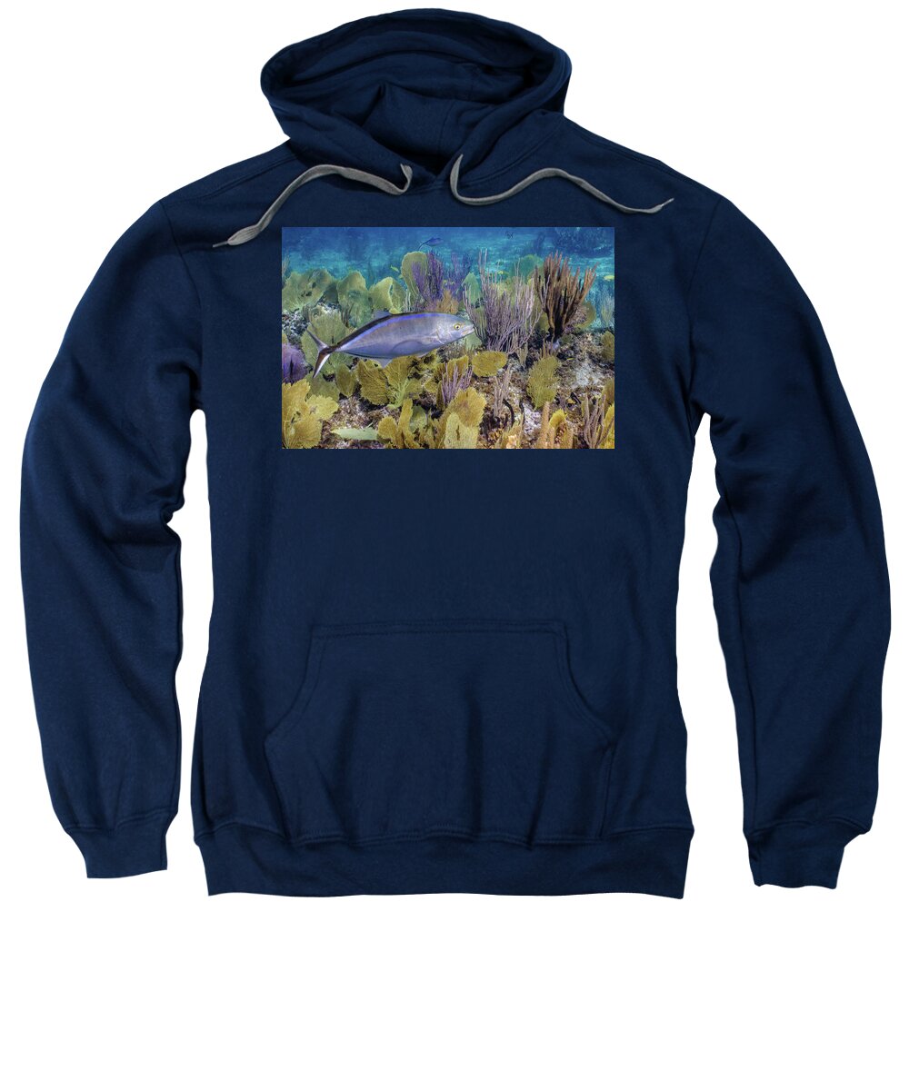 Animals Sweatshirt featuring the photograph The Bar Crossing by Lynne Browne