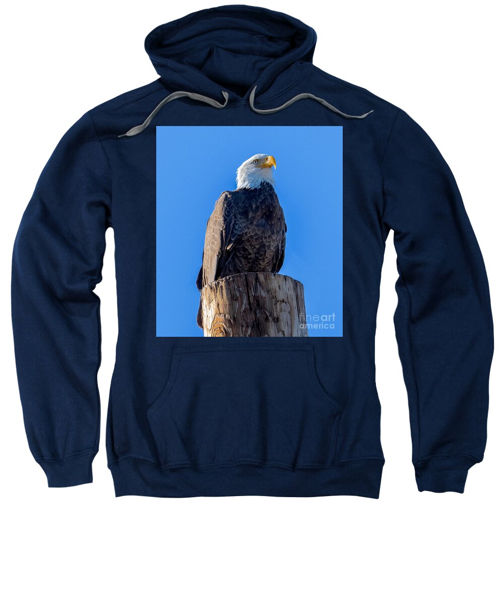 Waiting On Mate Sweatshirt featuring the digital art Waiting on Mate by Tammy Keyes