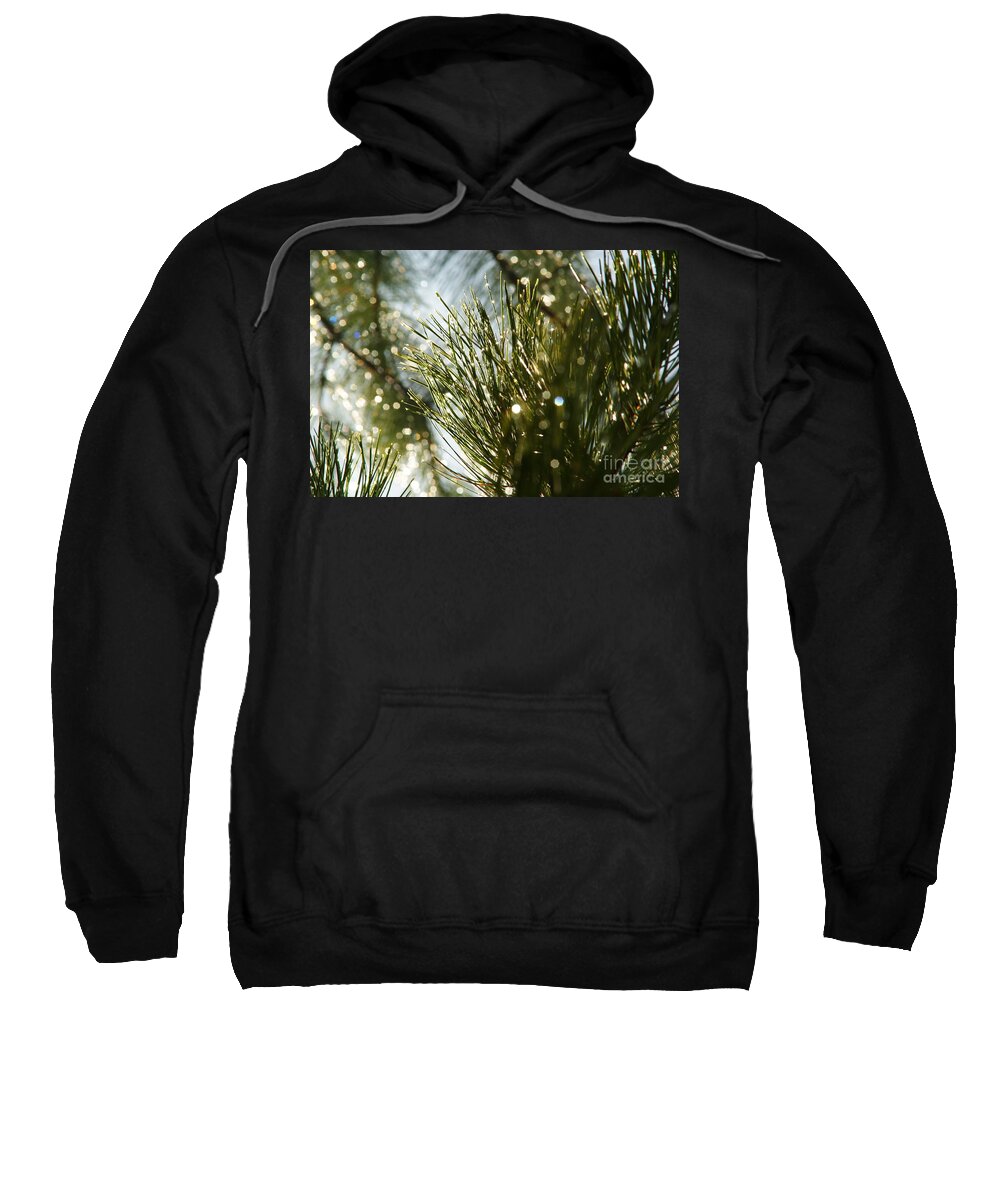 Rain Drops Sweatshirt featuring the photograph After the Rain #1 by Loni Collins