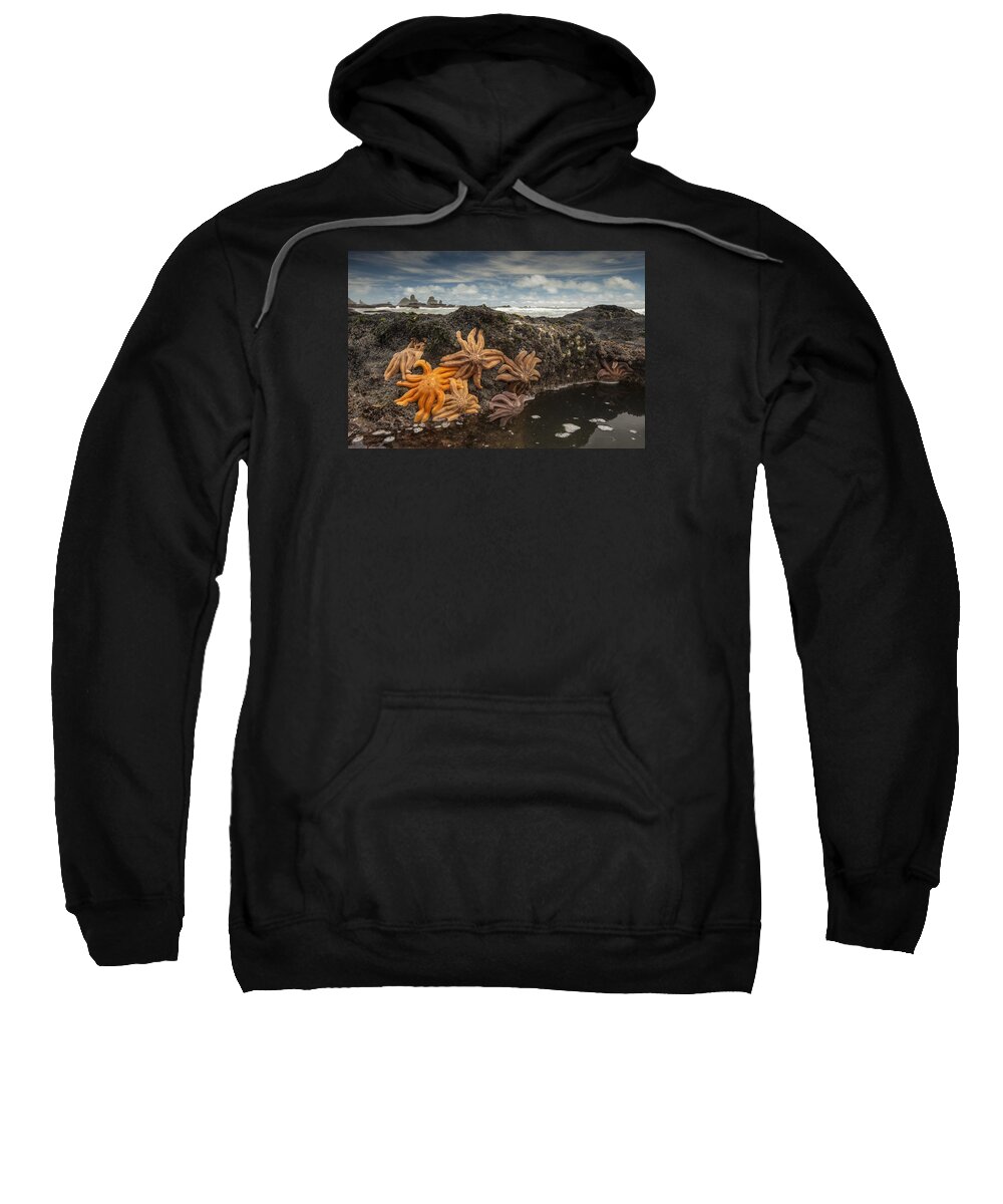 Feb0514 Sweatshirt featuring the photograph Eleven-armed Sea Stars At Low Tide #2 by Colin Monteath