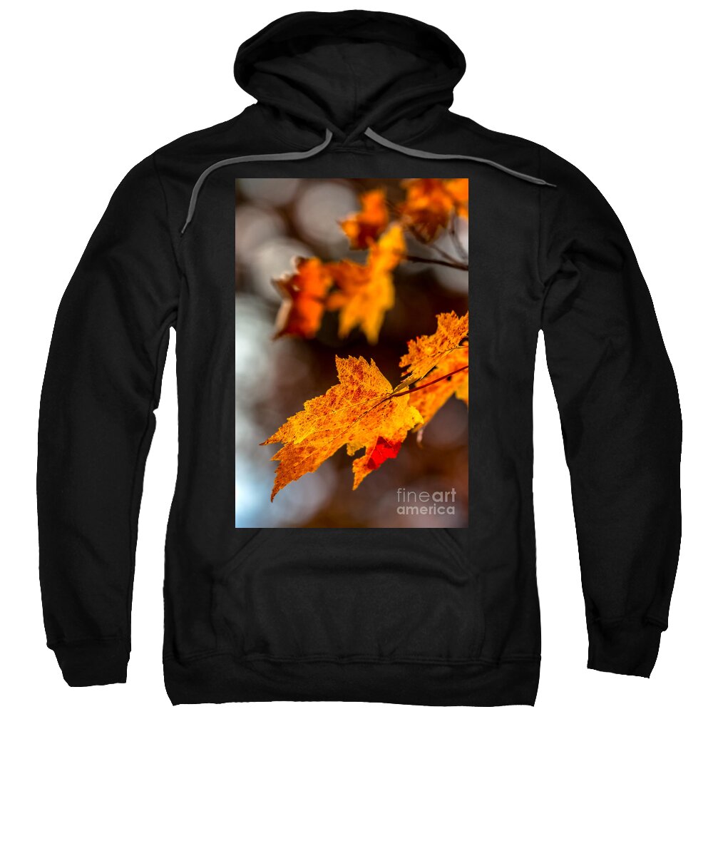 Fort-mountain Sweatshirt featuring the photograph Fall colors by Bernd Laeschke
