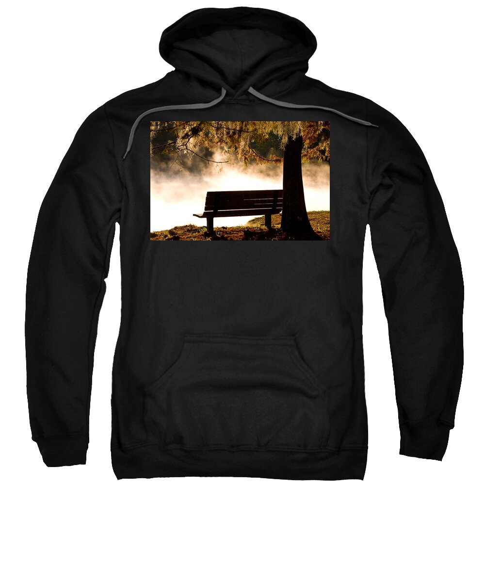 Alexander Springs Sweatshirt featuring the photograph Morning Mist at the Spring #1 by Stefan Mazzola