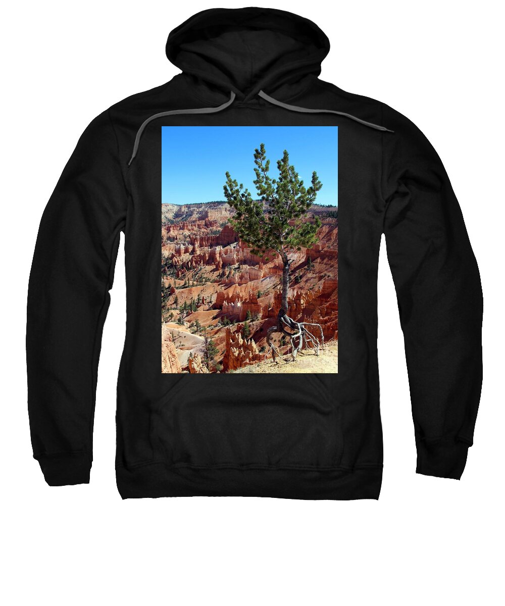 Bryce Canyon Sweatshirt featuring the photograph Twisted by Jemmy Archer