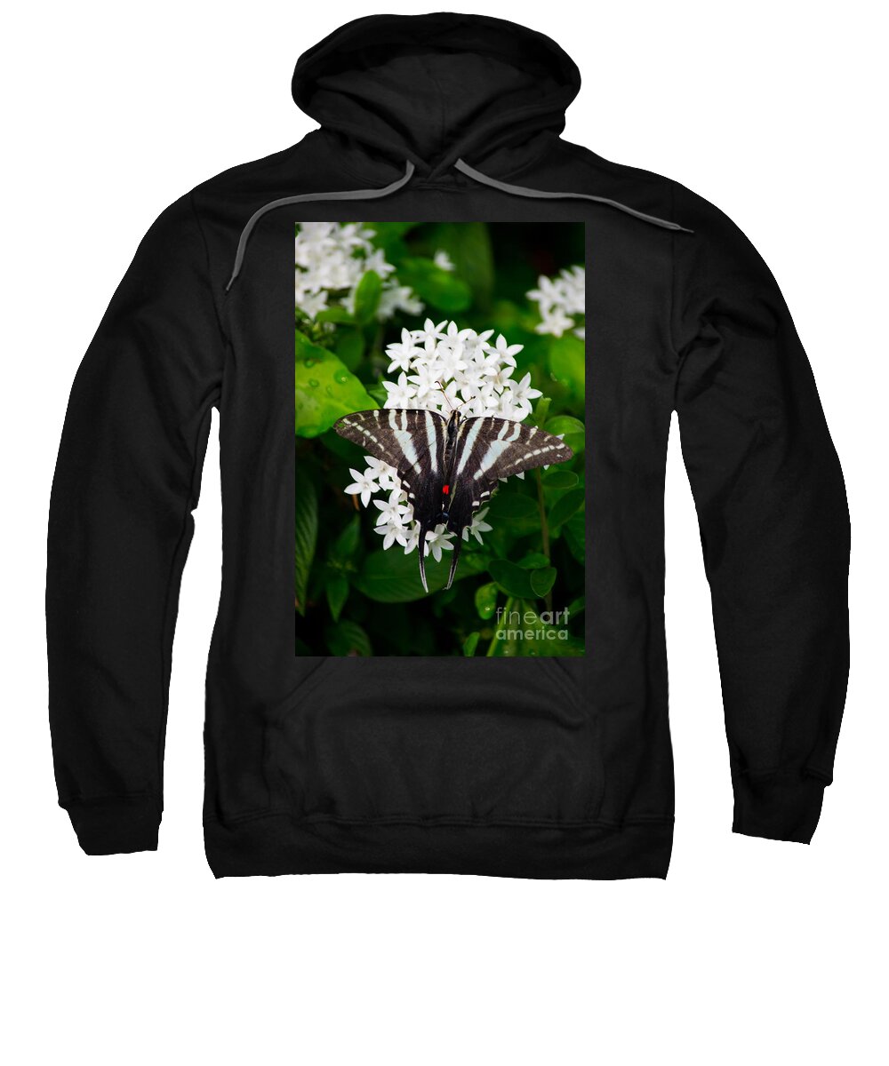 Zebra Sweatshirt featuring the photograph Zebra Swallowtail #1 by Angela DeFrias