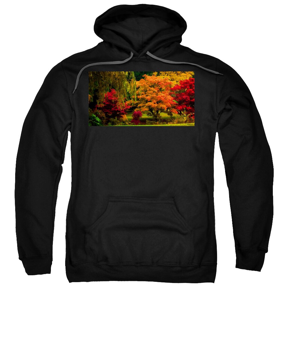 Autumn Sweatshirt featuring the photograph Colors Of Autumn - Seasons Art by Jordan Blackstone