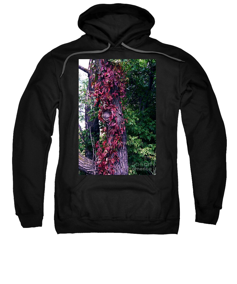 Jamie Lynn Gabrich Sweatshirt featuring the photograph Fanticy in Reality #2 by JamieLynn Warber