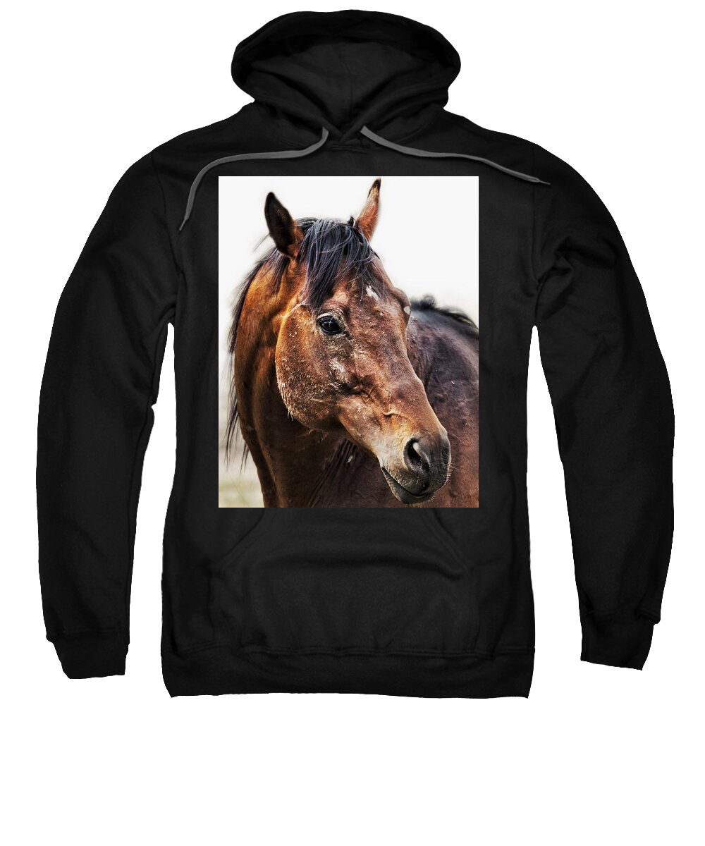 Horse Sweatshirt featuring the photograph Resilience by Belinda Greb