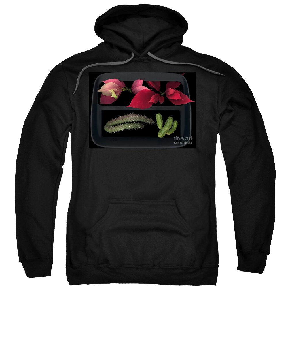 Cactus Sweatshirt featuring the photograph 2 Seasons by Heather Kirk