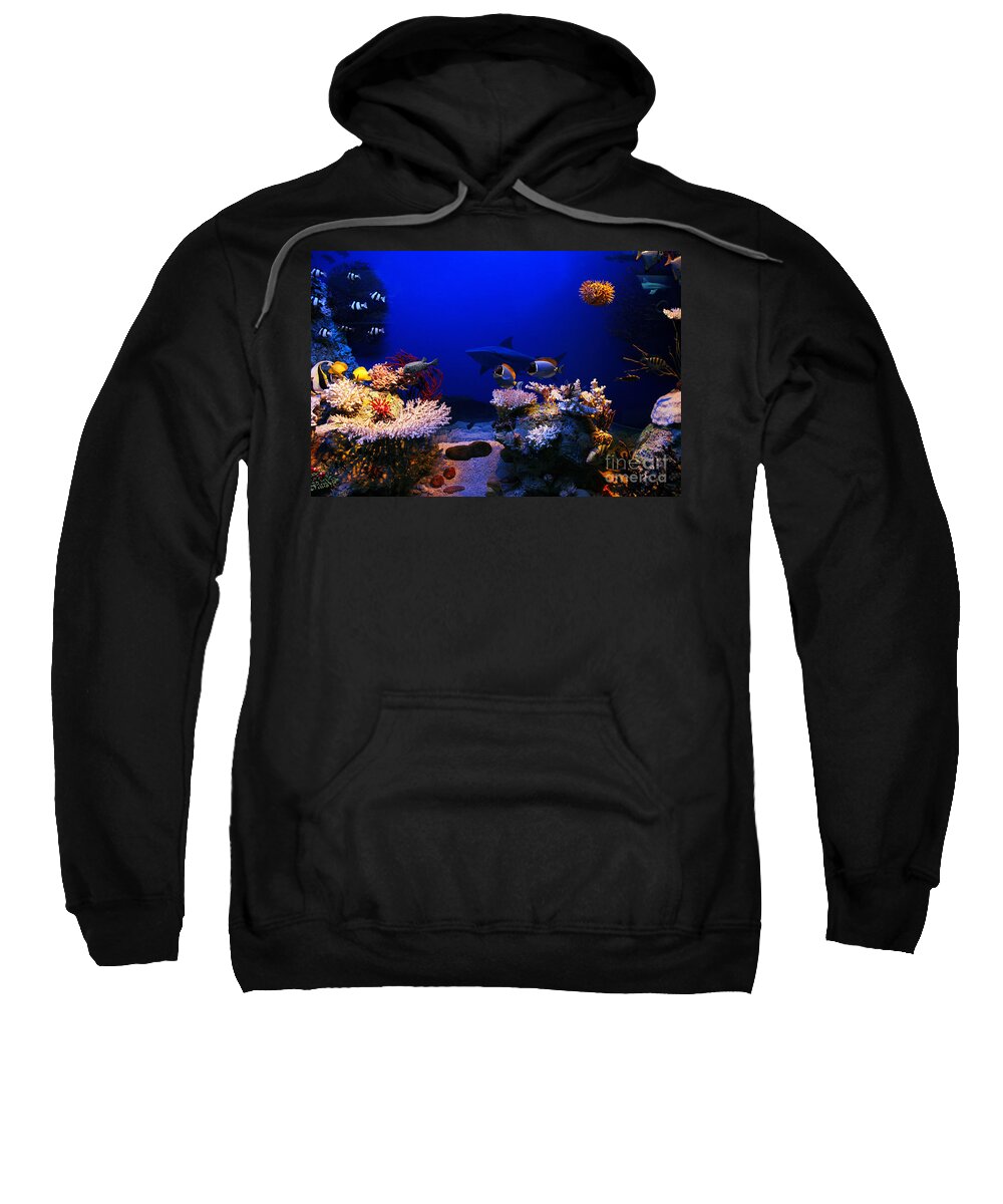 Underwater Sweatshirt featuring the photograph Underwater scene #3 by Michal Bednarek