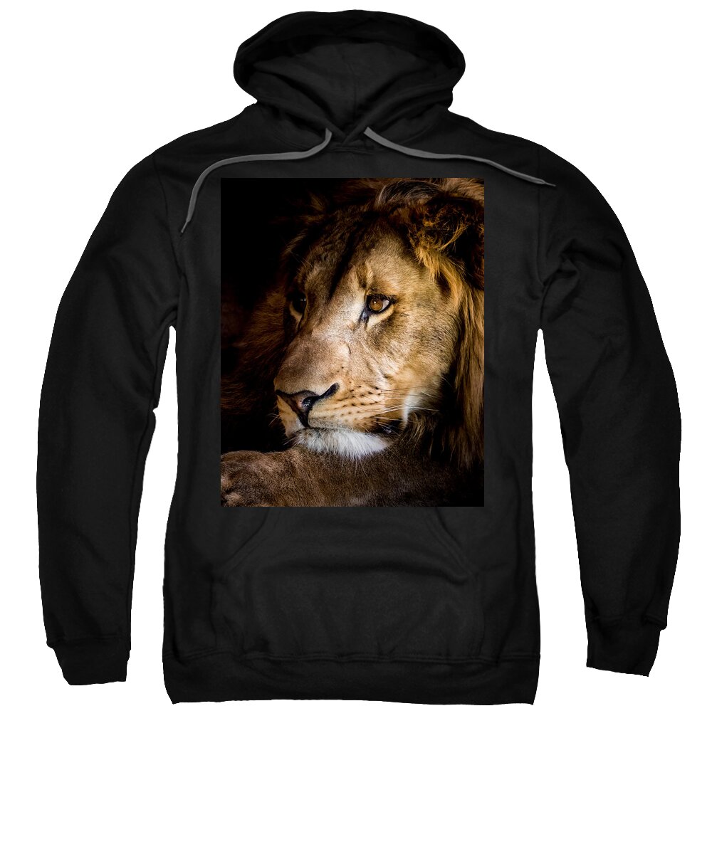 Lion Sweatshirt featuring the photograph Waiting #3 by Ernest Echols