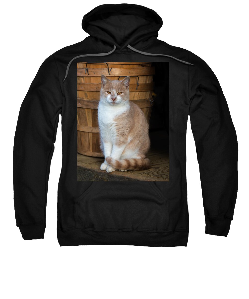 Holmdel Park Sweatshirt featuring the photograph A Cats Stare by Gary Slawsky