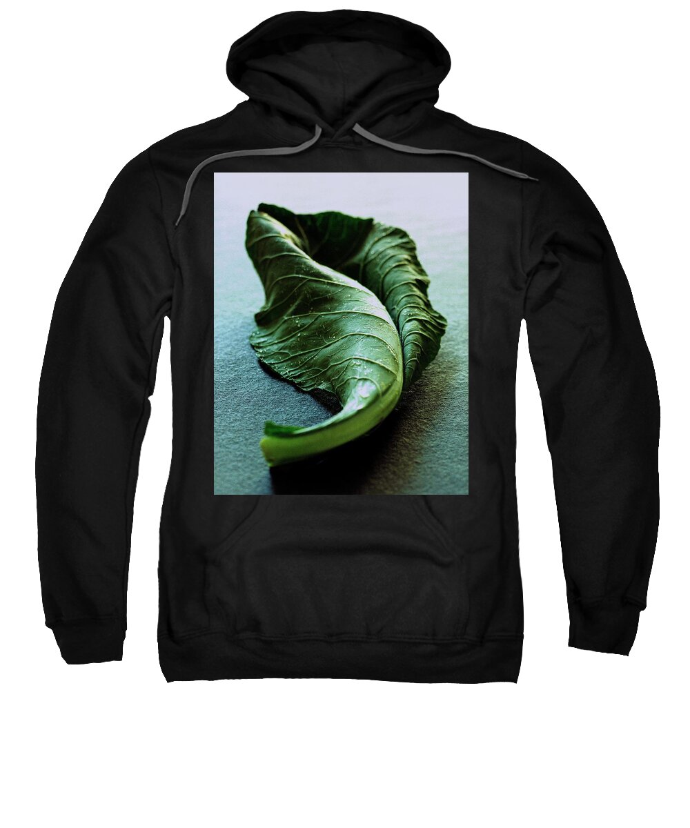 Nobody Sweatshirt featuring the photograph A Collard Leaf by Romulo Yanes