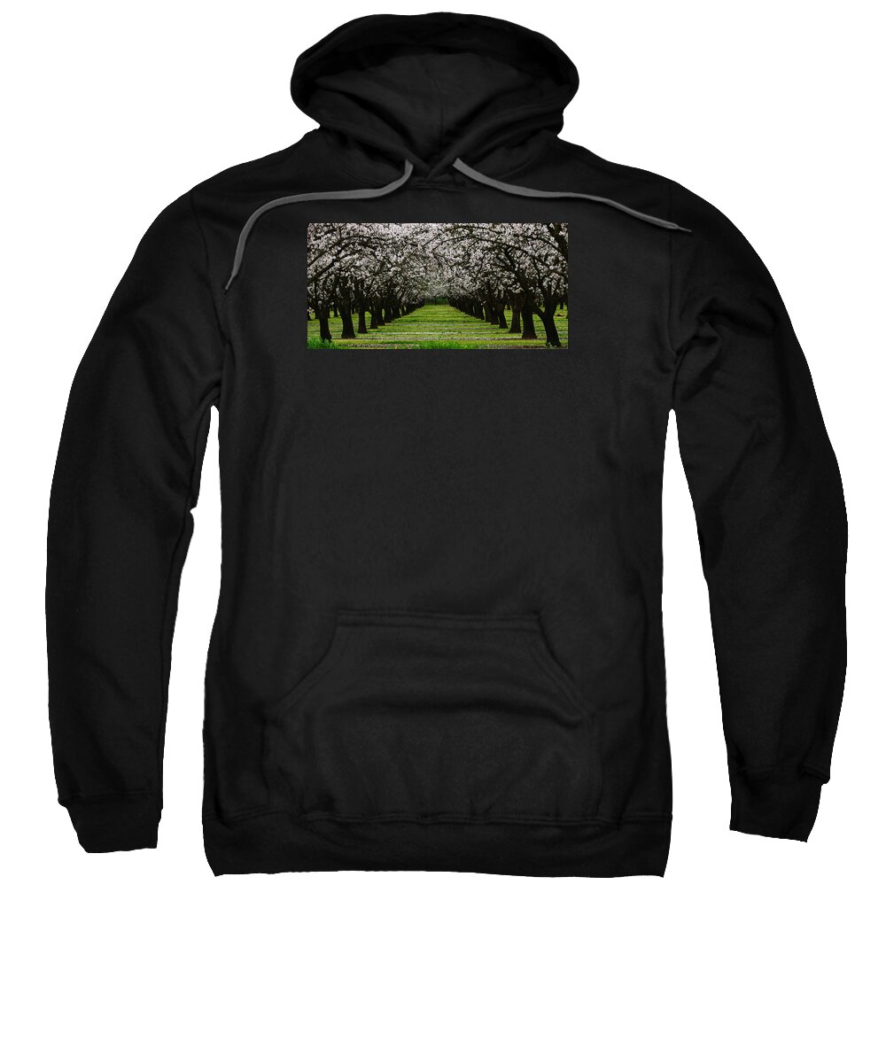 Almond Sweatshirt featuring the photograph Almond Orchard by Robert Woodward