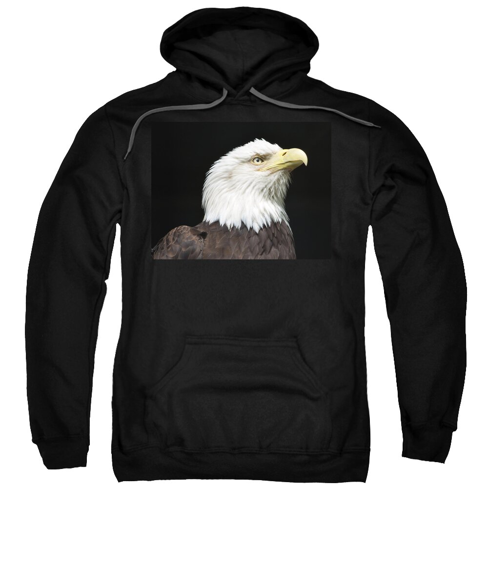Eagle Sweatshirt featuring the photograph American Bald Eagle Profile by Richard Bryce and Family