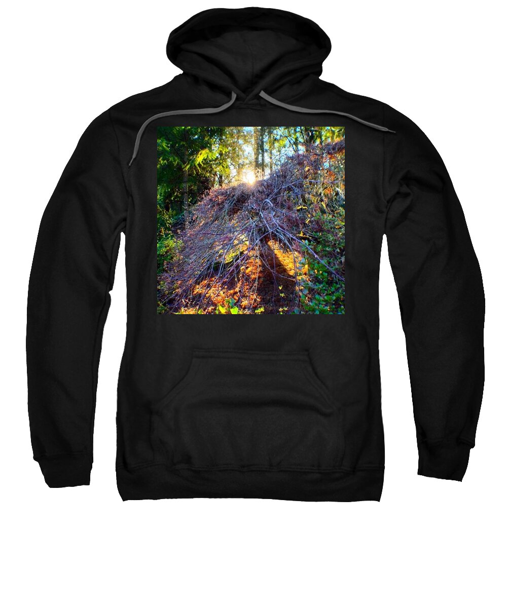 Sunlight Sweatshirt featuring the photograph And Then The Sun Came Out by Anna Porter