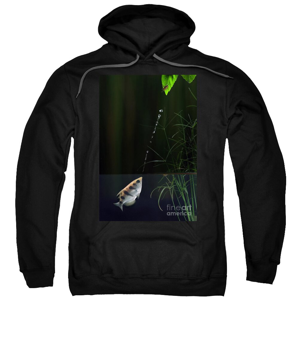 Archerfish Sweatshirt featuring the photograph Archerfish With Prey by Scott Linstead