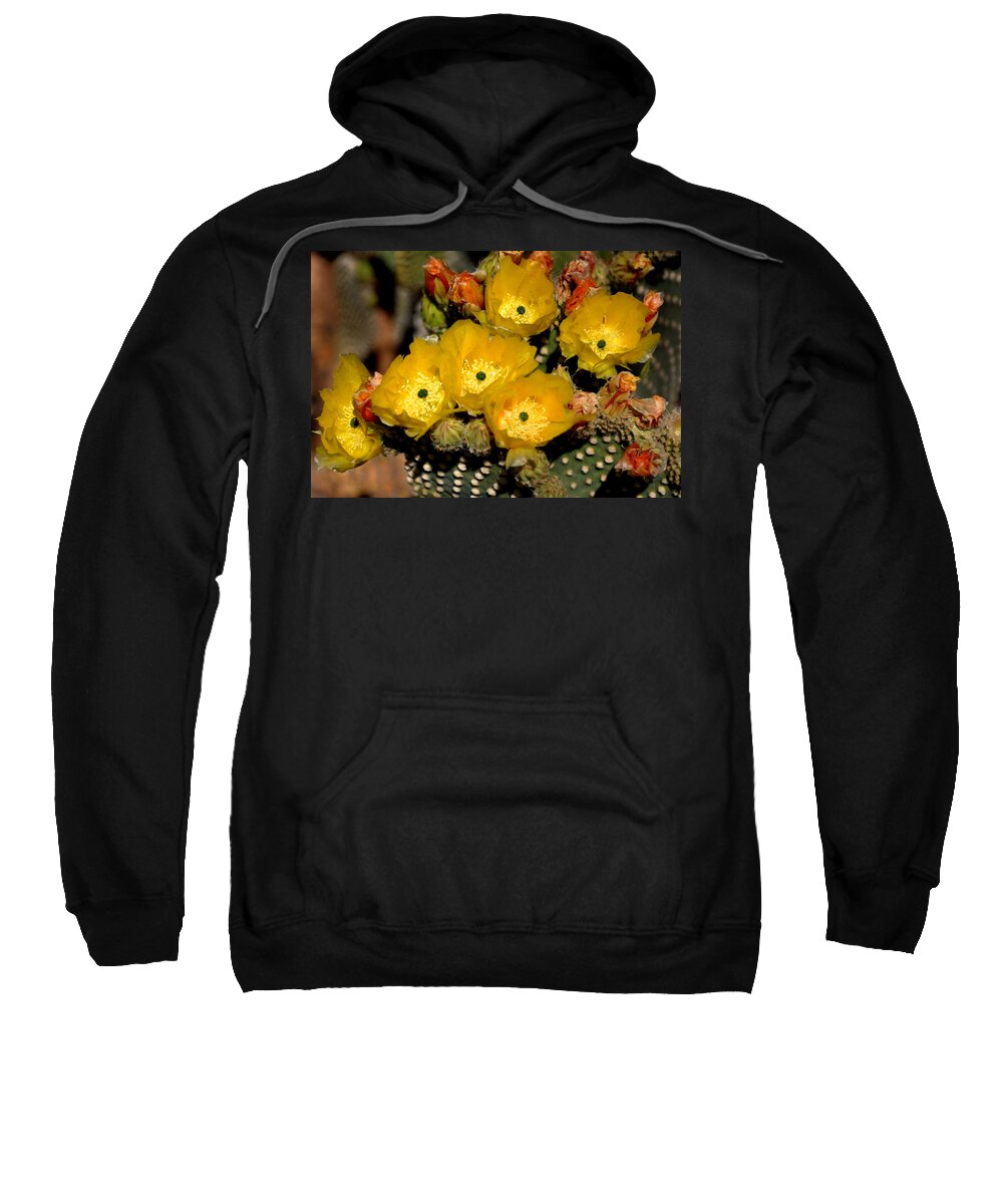 Arizona Sweatshirt featuring the photograph Arizona Prickly Pear Cactus Flowers - Greeting Card by Mark Valentine