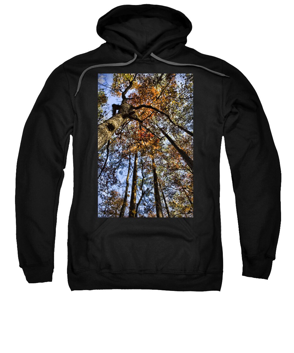Autumn Sweatshirt featuring the photograph Autumn Canopy by Heather Applegate
