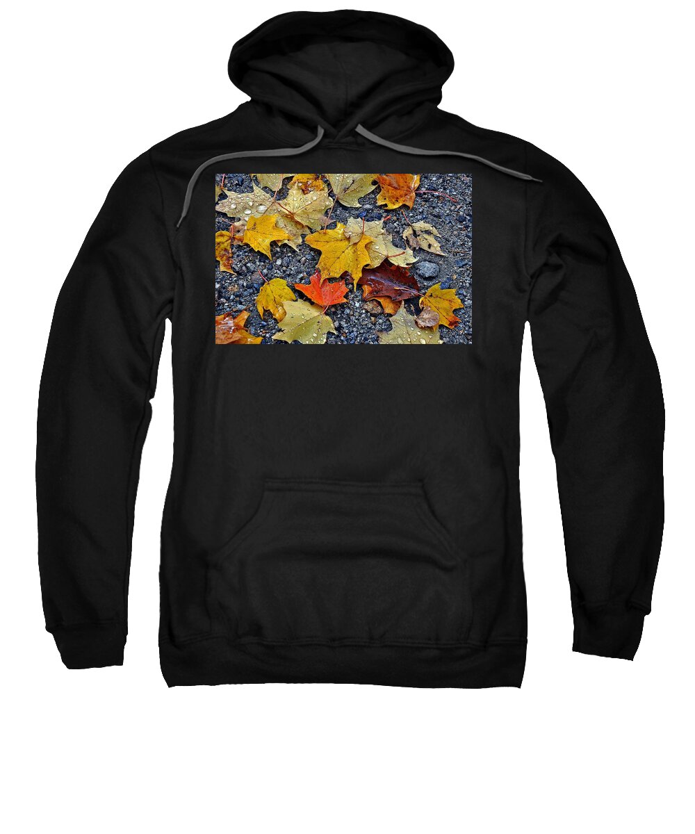 Autumn Sweatshirt featuring the photograph Autumn Leaves in Rain by Phyllis Meinke