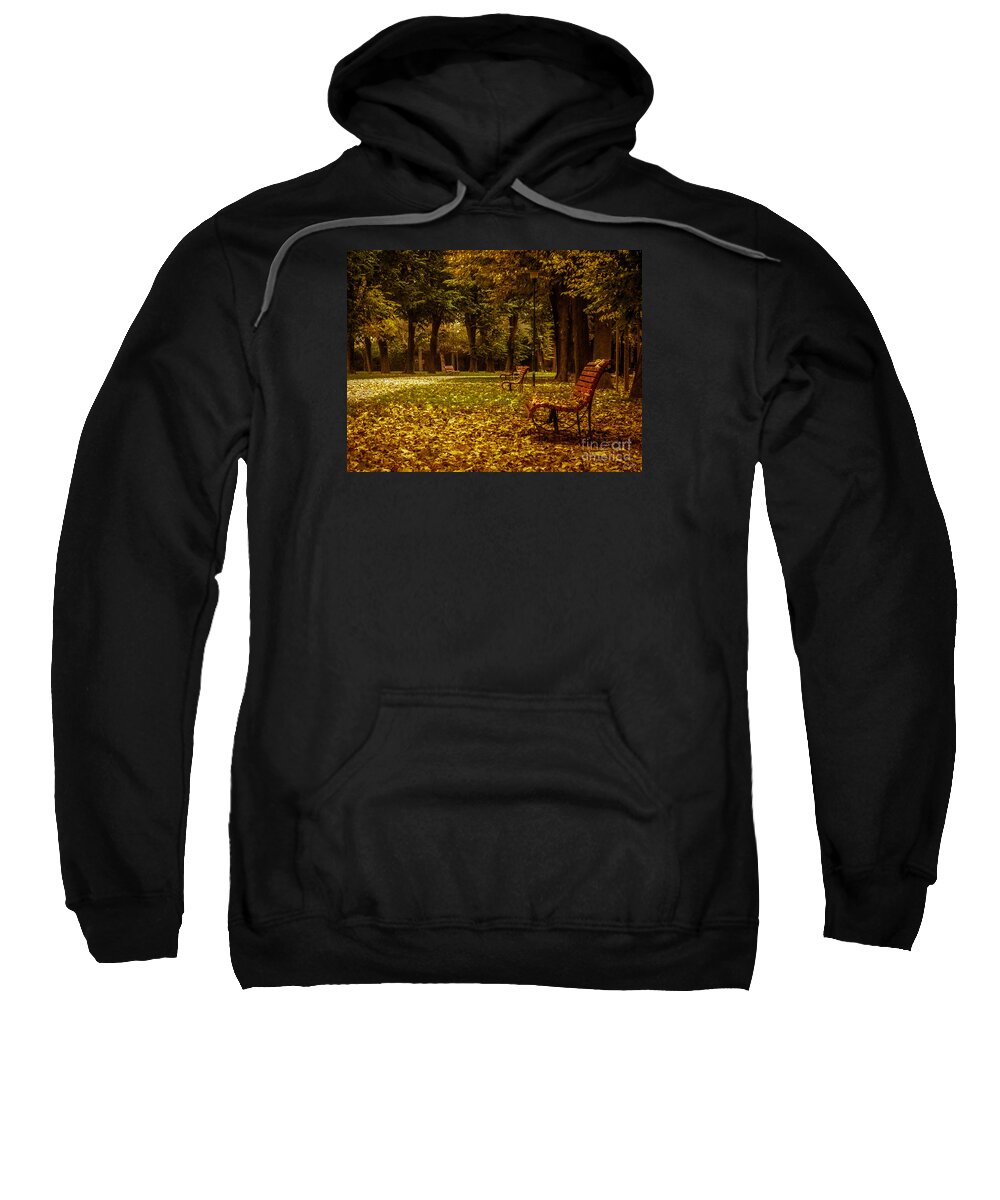 Autumn Park Sweatshirt featuring the photograph Autumn Park by Prints of Italy