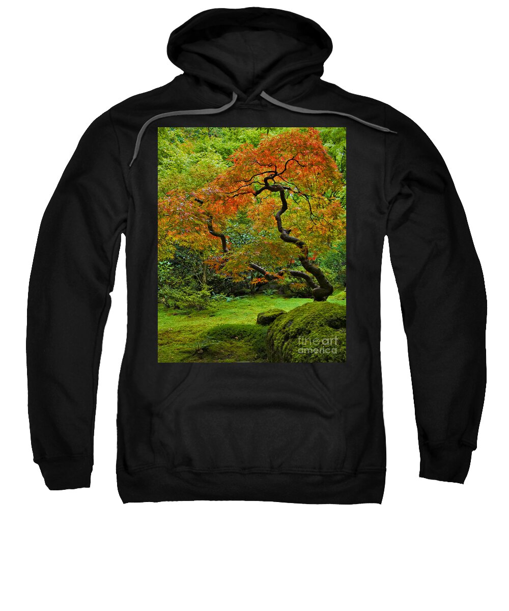 Japanese Sweatshirt featuring the photograph Autumn's Paintbrush by Jean Hildebrant