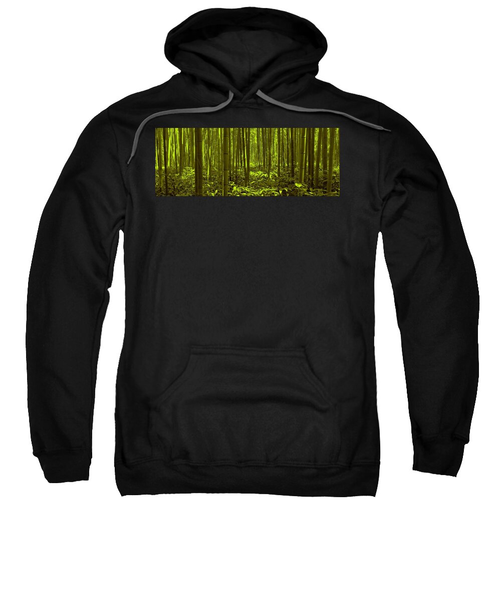 Bamboo Sweatshirt featuring the photograph Bamboo Forest Twilight by David Dehner