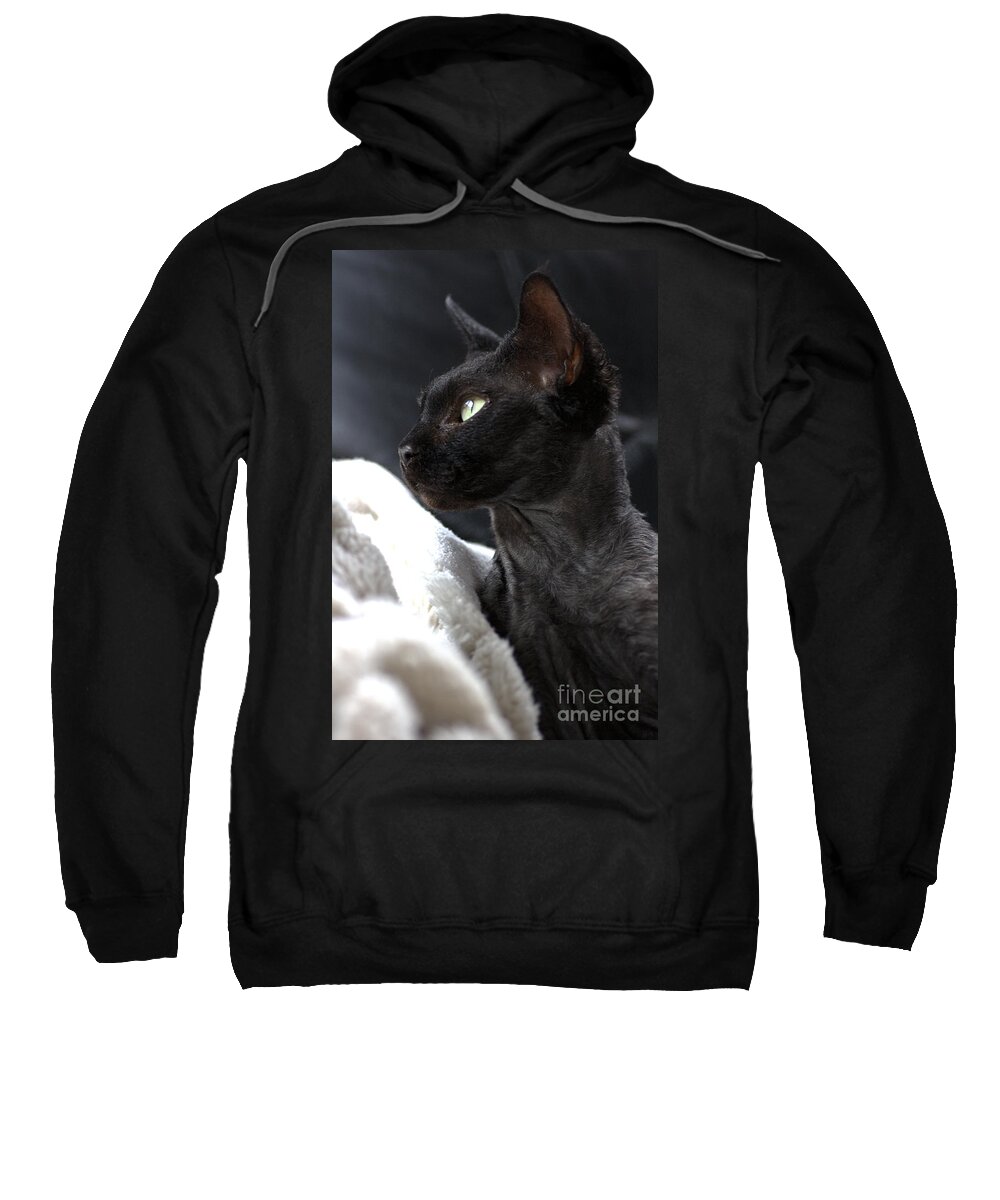 Joy Watson Sweatshirt featuring the photograph Beauty of the Rex Cat by Joy Watson