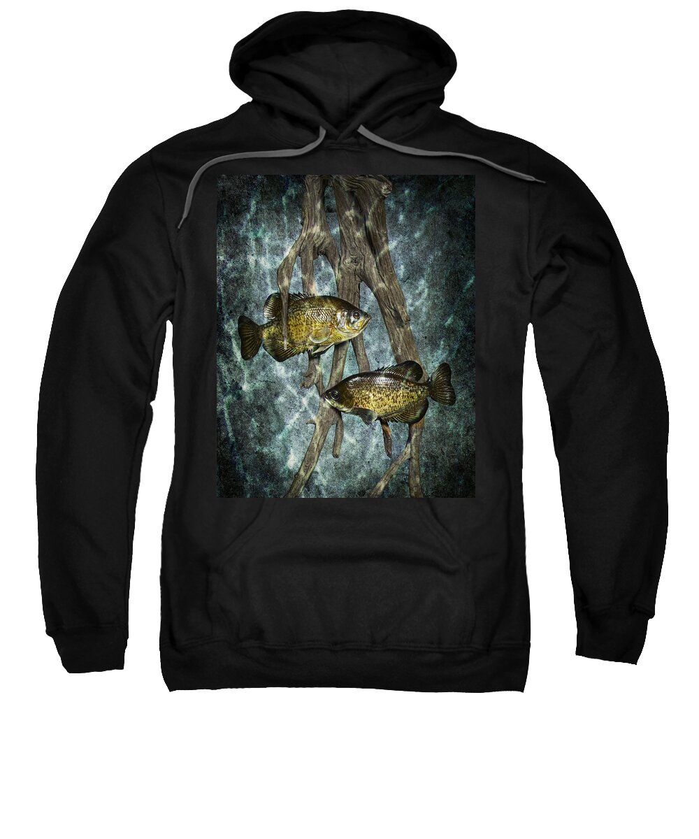 Art Sweatshirt featuring the photograph Black Crappies a Fish Image No 0143 Blue version by Randall Nyhof